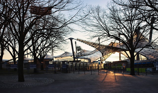 场的巨大优 场的巨大优