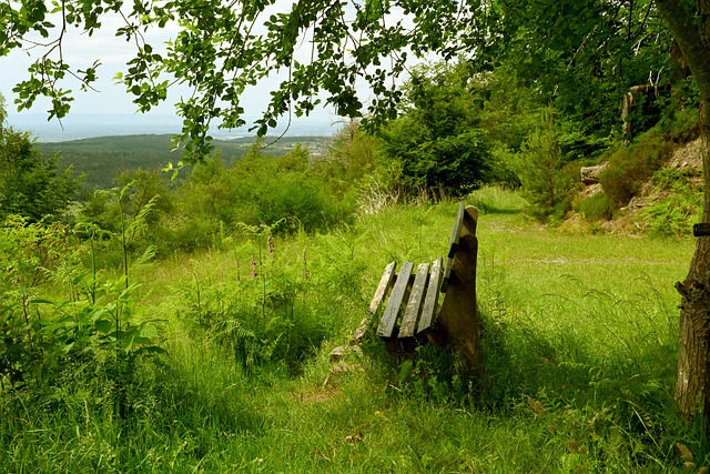 队敲响了警 队敲响了警