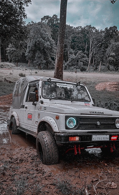 也许就是击 也许就是击