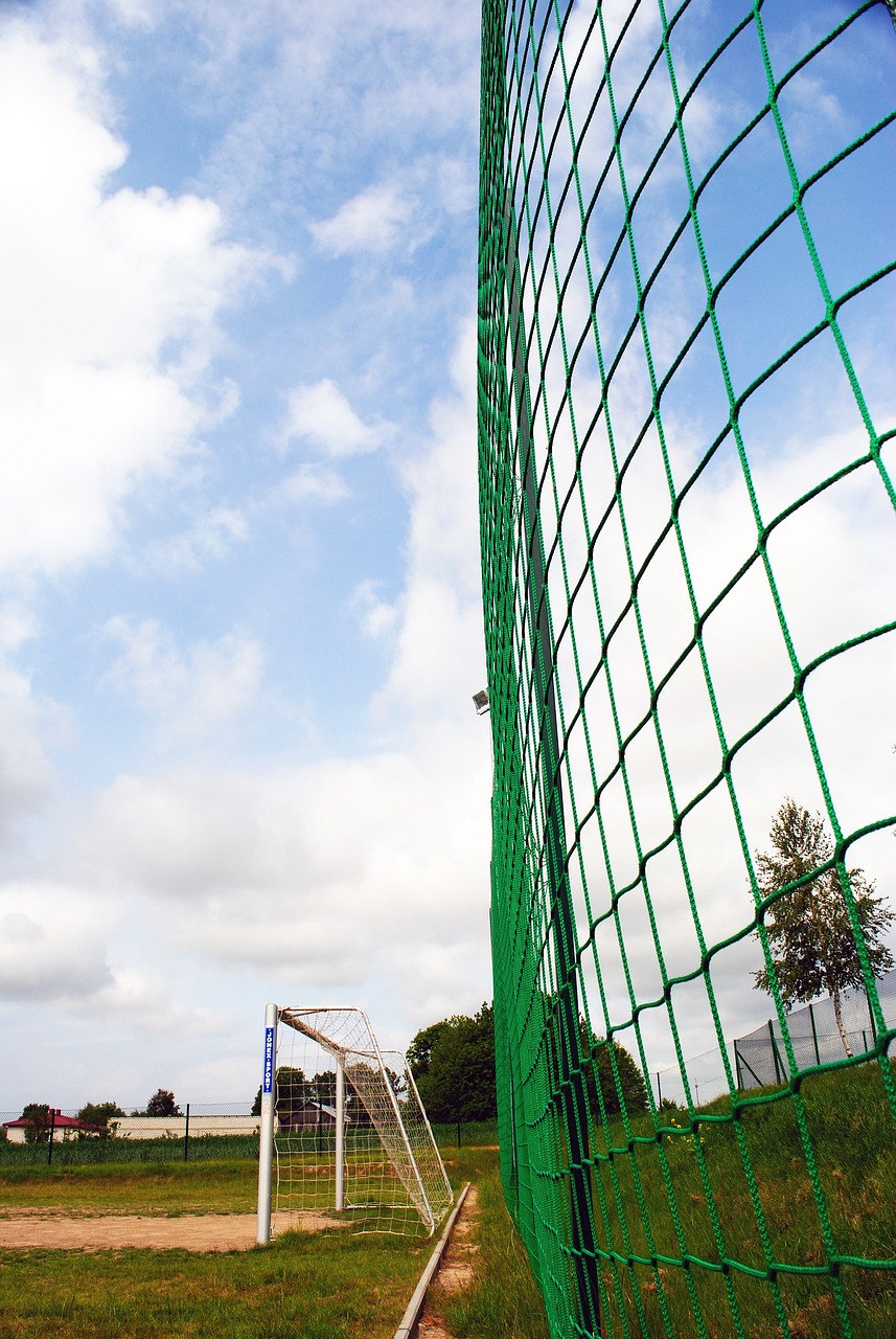 作为亚洲地 作为亚洲地